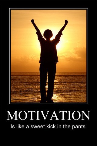 Motivational Posters Online on Motivational Poster We Have All Seen Motivational Posters Online In