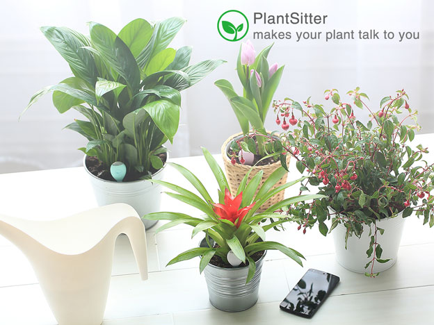 plantsitter