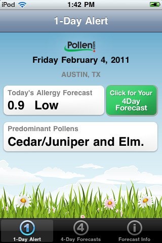 pollen