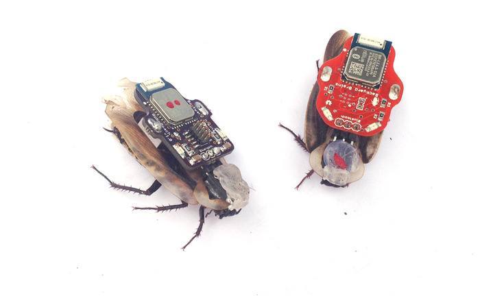 RoboRoach: Control a Live Insect From iPhone, SolePower: Generate Power by Walking