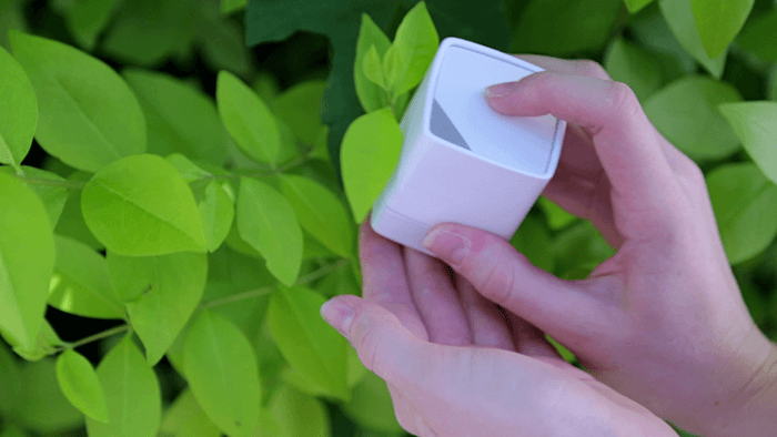 cube