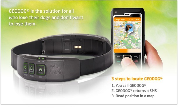 https://www.iphoneness.com/wp-content/uploads/2013/11/geodog.jpg