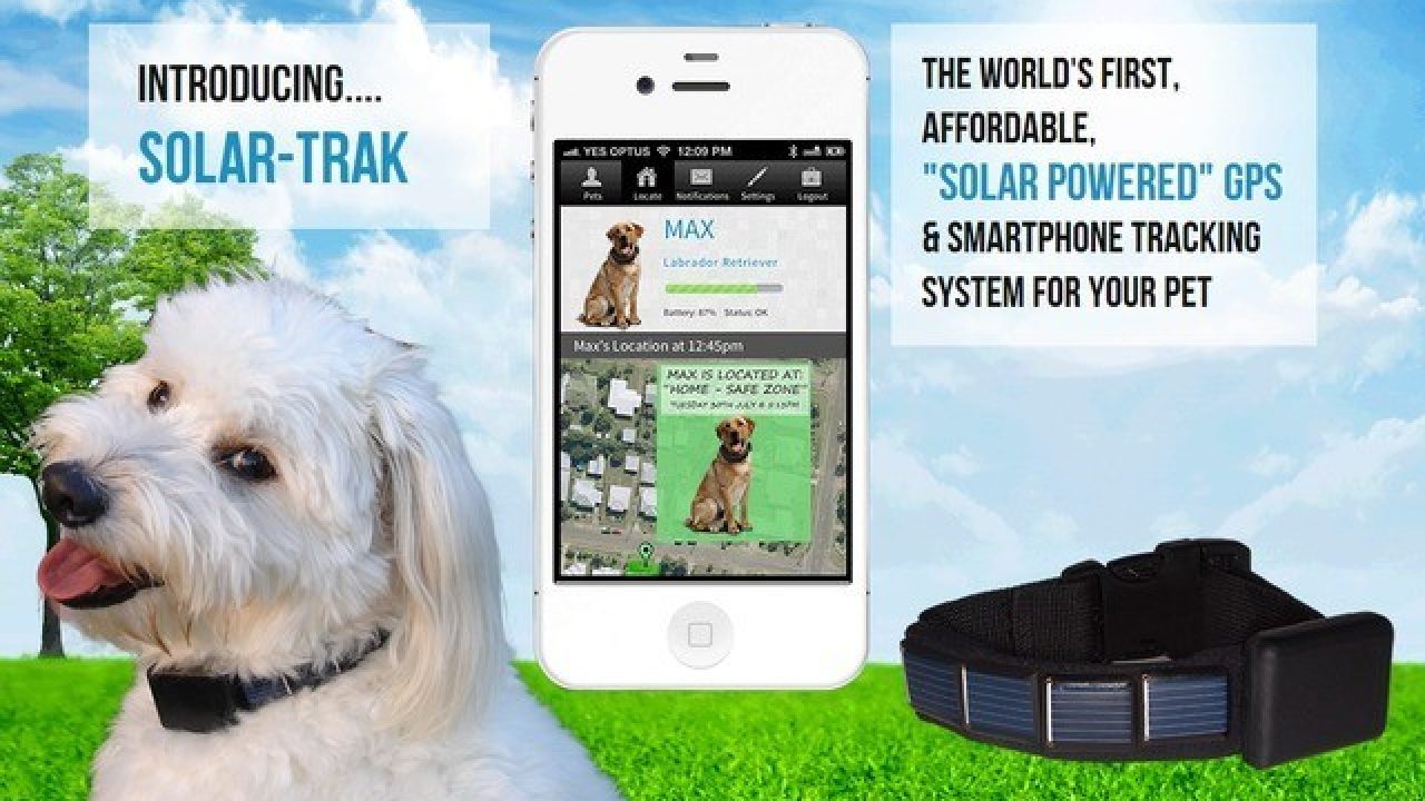 dog chip tracker app