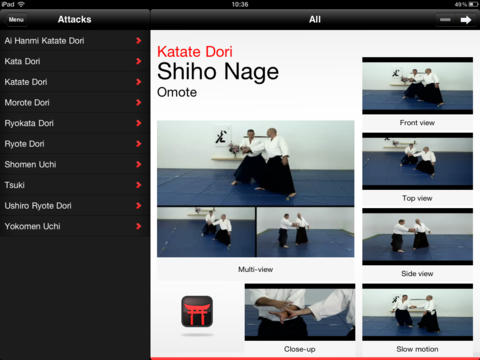 aikido