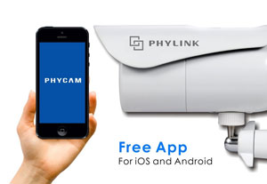 phylink