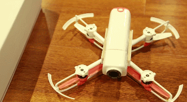 cicada-drone