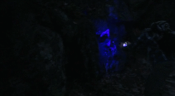 ReveaLED II UV LED Flash Light
