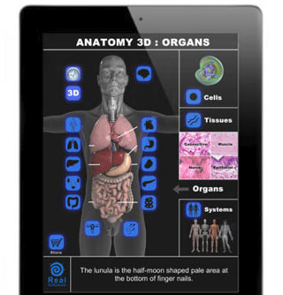 Anatomy-3D