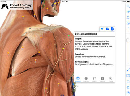 6 Interactive 3d Human Anatomy Iphone Apps
