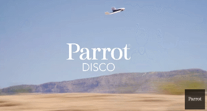 parrot disco