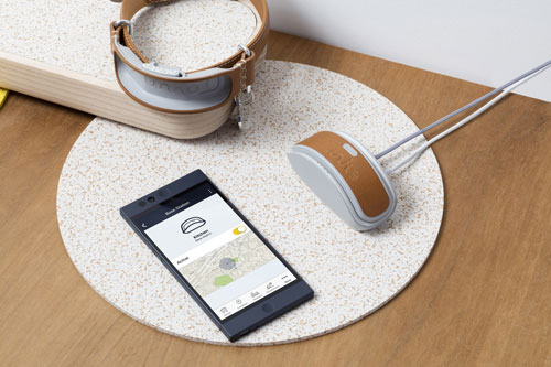 link-akc-smart-dog-collar