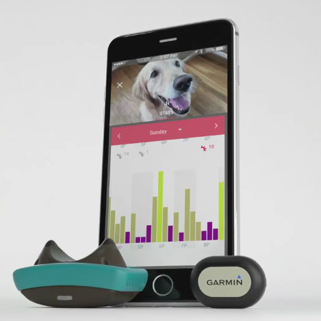 garmin-delta-smart-dog-training-device