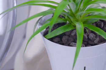 growbot greenhouse