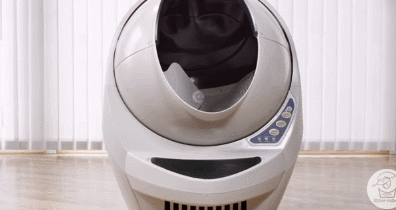 Litter-Robot III Open-Air Automatic Litter Box with App