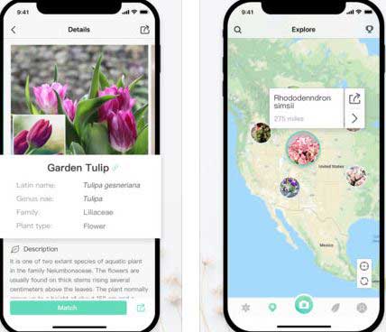 Never Confuse Plants Again With PlantNet: The Plant Identification App -  GoHow.co