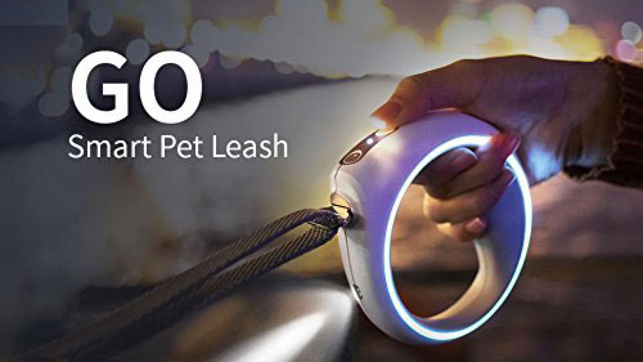 dog leash with light