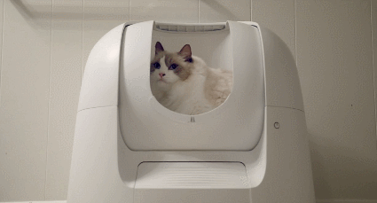 Footloose deals cat potty