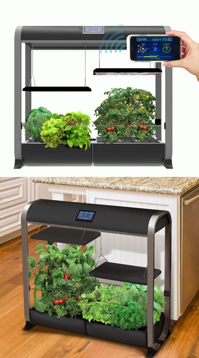 aerogarden-with-wifi-and-alexa