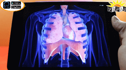 Popar Augmented Reality Human Anatomy Mat