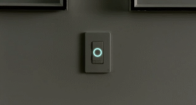 Instinct Smart Light Switch With Alexa Built In
