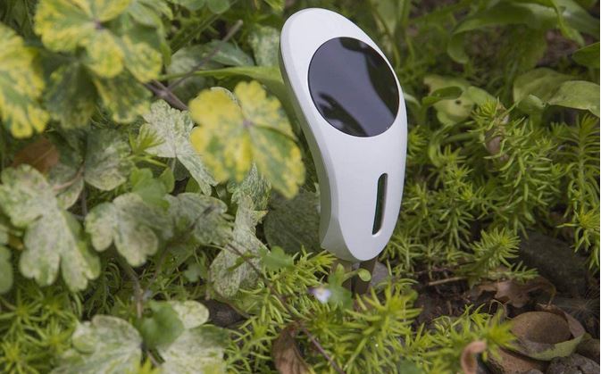 Netro Whisperer Smart Plant Sensor with WiFi