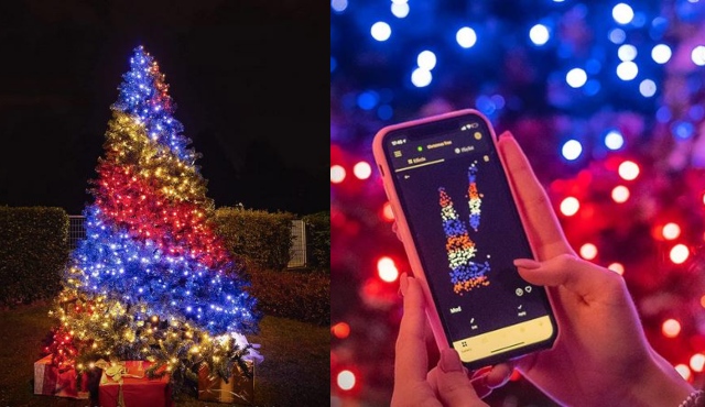 https://www.iphoneness.com/wp-content/uploads/2021/10/26/Twinkly-App-Controlled-LED-Christmas-Tree.jpg